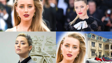 amber heard vermögen
